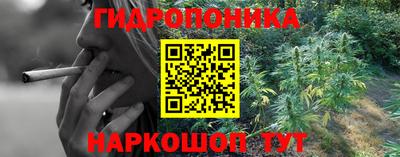 прущие крисы Волжск
