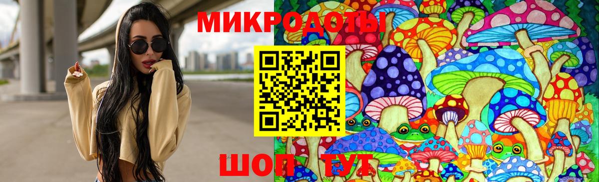 Псилоцибиновые грибы MAGIC MUSHROOMS  Вход с VPN  Киржач  Галлюциногенные грибы Psilocybe 