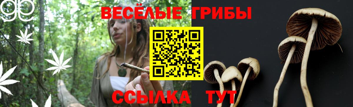 Галлюциногенные грибы GOLDEN TEACHER Киржач